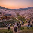 궁도장 | 2026 하동 벚꽃 축제 일정 주차, 봄꽃 만개한 화개장터로 떠나는 낭만 여행