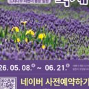 느티나무의사랑 네이버블로그