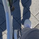 (주)명성농산 | 11월 (1) : 안녕 가을아