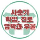 [사춘기 성적 진로 압박과 우울증]학업스트레스, 아동상담, 청소년상담, 대치동, 강남, 사회성, 한국아동청소년심리상담센터 이미지