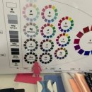 리즈컬러 이미지