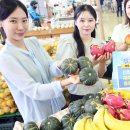 우리농산물마트