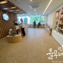 이영수 고양이 병원 이미지