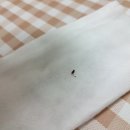 땡일리 애견 유치원 이미지