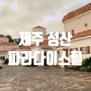 제주숙박후기 이국적인 감성숙소 성산파라다이스힐 제주
