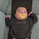 나노병원 | 나노의 늦은 백일 촬영 후기