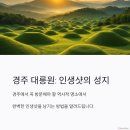사진 한 장이면 설명 끝! 경주 대릉원 인생샷 후기