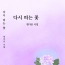 정다운마트