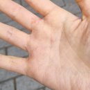 에스케이내과의원 이미지