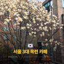 구의2동주민센터 | 서울 3대 목련 카페, 아차산역 실란트로 커피 실시간 개화 상태