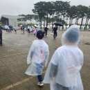 (유)평화점 현대자동차 | 2024 세이브더칠드런 국제어린이마라톤 후기(서울지역, 상암 평화의공원)