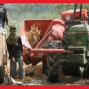 도수농장 이미지