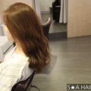 에스에이인터네셔널