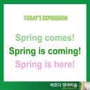 바르다영어미술