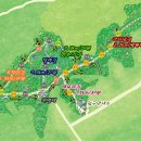 대정읍 영어교육도시내 곶자왈 이미지