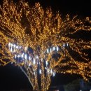 설창한우마을 이미지