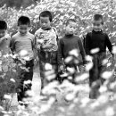 인갤러리 A 이미지