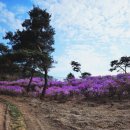 금성면사무소 이미지