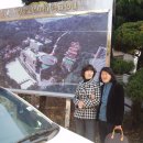 장로회신학대학교 Daum카페