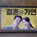 참결혼정보 이미지