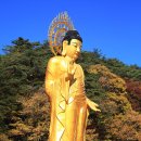 2025년10월26일,속리산 말티재 둘레길 단풍 &amp; 법주사 탐방 이미지