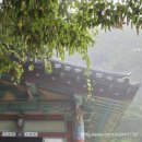 (테마투어)세계유산투어 | 뚜벅이의 경주시티투어 세계유산투어 후기 +엄마밥