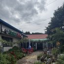 청대리막국수 | 청대리막국수 리뷰 | 속초 청대마을 메밀100% 토면 맛집! 할머니집 같은 분위기의 건강한 막국수