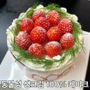 동양화 | 카페 동양화점 영등포 딸기 케이크 추천 후기
