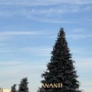 아난티 앳 부산 빌라쥬 식당가 이미지