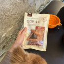 돌창고 | 반려견 동반이 가능한 남해 감성카페 돌창고프로젝트 내돈내산 솔직후기