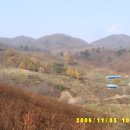 소나무목장 이미지