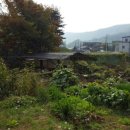 내곡동-1 이미지