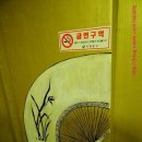 동강참치 이미지