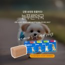 2층푸른약국 이미지