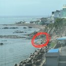 포인트 오션 풀빌라 펜션 B | [포항#구룡포] 포인트 오션 풀빌라_구룡포 애견동반 가능한 프라이빗 오션뷰 풀빌라 펜션(스노쿨링...