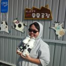 두레목장 이미지