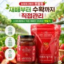 농업회사법인 우둥 | 여주딸기 여주딸기잼 농업회사법인 흰돌팜 프리미엄 딸기칩 후기