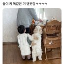태광농장 | 6월의 일상잡담. - 상 -