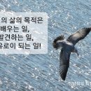 무지개테크 이미지