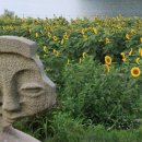 하동못안마을 이미지