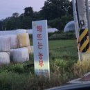 해뜨는농장 네이버블로그