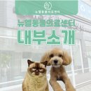 뉴엘동물의료센터 이미지