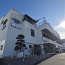 도그애견 | 파주 애견카페 애견운동장 쟈빠따도그_내돈내산 후기