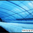 가온목장 이미지