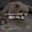 심동물병원 이미지