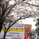 송림산장 - 광양시 학사대길 7 | 송림산장