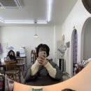 뽀글뽀글 | 충주미용실 325호실주인장 뽀글뽀글 일반펌 단발 히피펌 후기