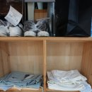 굿모닝세탁 이미지