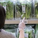 소비자유통 이미지