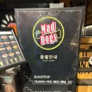 피자를 피자답게 본점 | 매드독스 | 부산 해운대 시카고 피자 맛집 솔직 후기